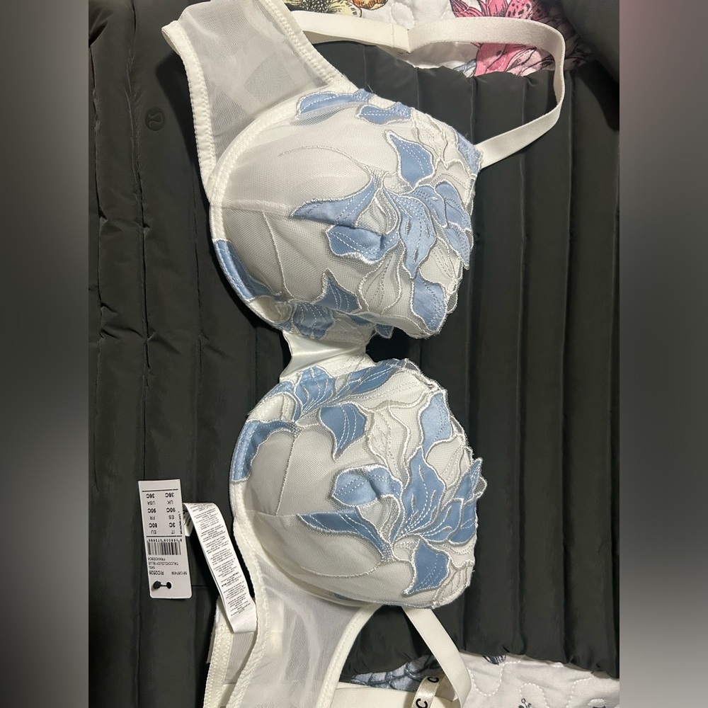 Francesca bra and matching thong